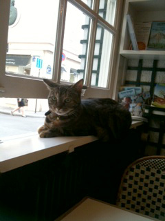Parisのカフェの猫